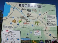ニセコ神仙沼湿地 (2)